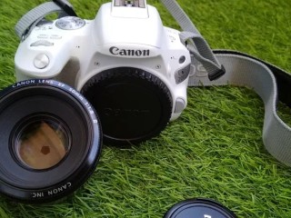 Canon 200D + Canon EF 50mm 1.8